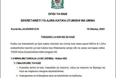 Nafasi Mpya 10026 za Kazi Walimu MDAs LGAs 2025