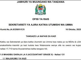 Nafasi Mpya za Kazi MDAs LGAs October 2025