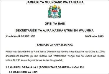 Nafasi Mpya za Kazi MDAs LGAs October 2025