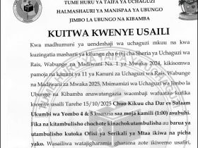 ubungo na kibamba