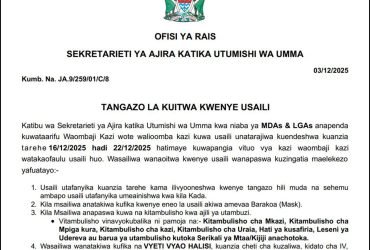 Majina ya Walioitwa Kwenye Usaili MDAs LGAs Kada ya Afya December 2025