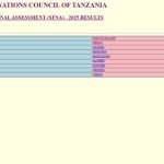 Matokeo ya Darasa La Nne 2025 Kimkoa