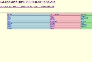 Matokeo ya Darasa La Nne 2025 Kimkoa