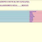 Matokeo ya Darasa la Nne 2025 2026 NECTA SFNA Results