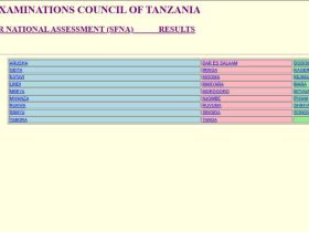 Matokeo ya Darasa la Nne 2025 2026 NECTA SFNA Results