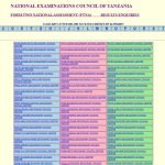 Matokeo ya Kidato Cha Pili 2025 2026 NECTA FTNA Results