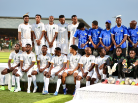 Kikosi cha geita picha 3