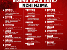 Maduka ya kuuza jezi za simba
